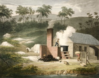 Bleaching, Progress of Cotton No. 7 (pub. 1840) by James Richard Barfoot